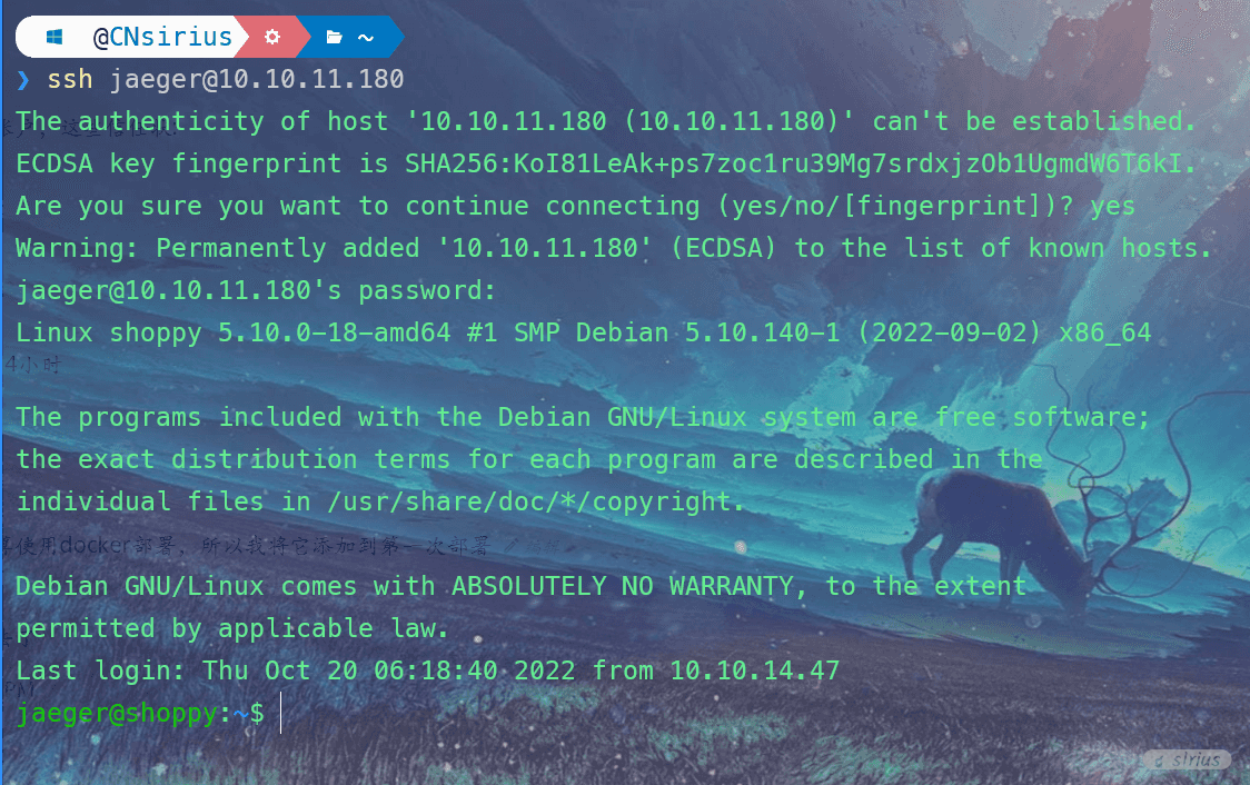 image-20221020203942821