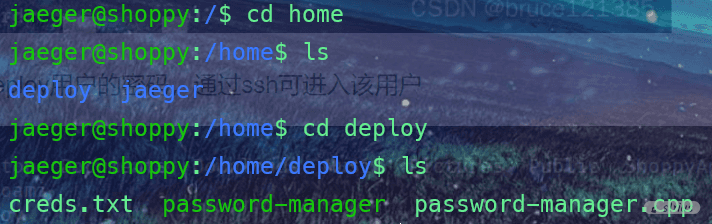 image-20221020205247703