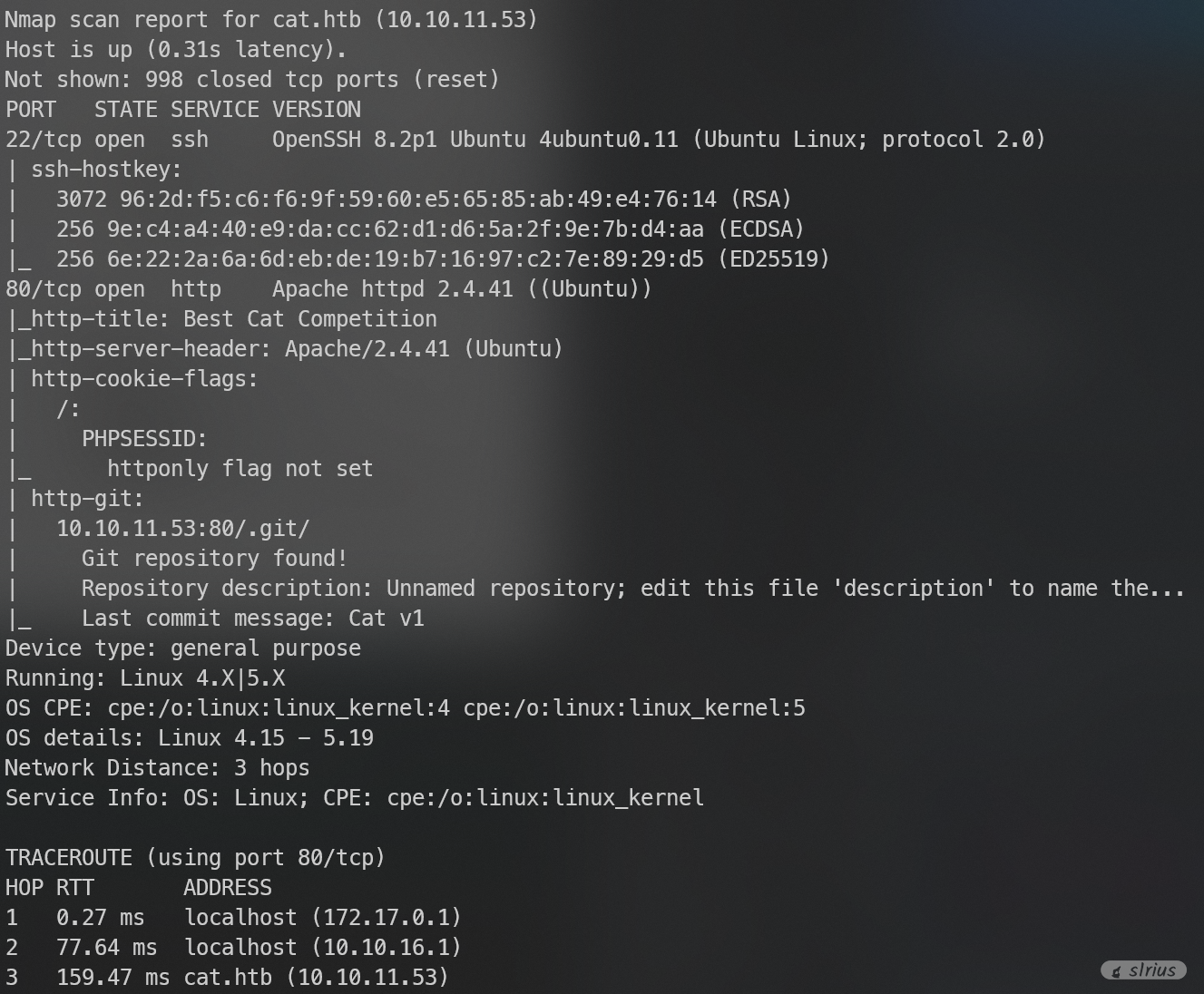 image-20250219205858249