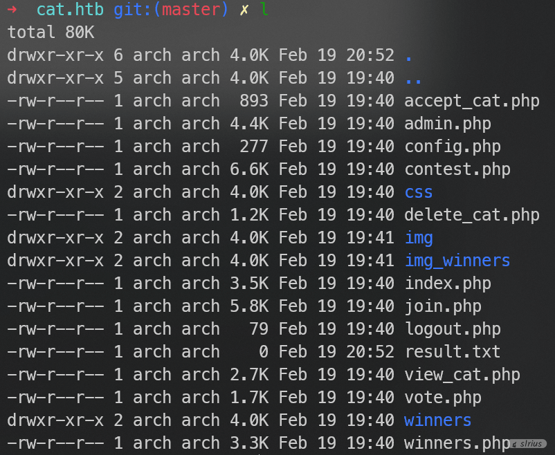 image-20250219210023476